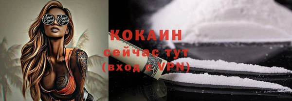 мдпв Осташков