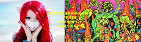 прущая мука Иннополис