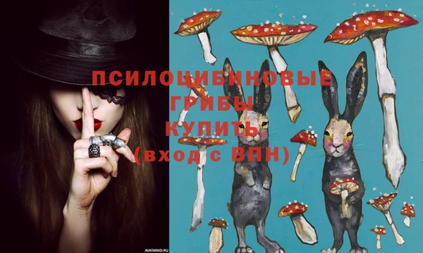 MDMA Premium VHQ Гатчина