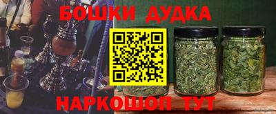 шишки Абакан