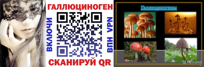 Галлюциногенные грибы Psilocybine cubensis  Лыткарино 