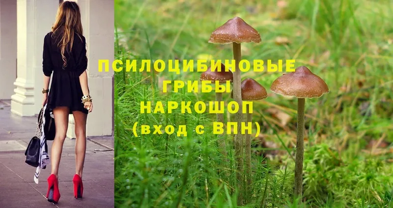 Галлюциногенные грибы Magic Shrooms  мега ссылки  Лыткарино 