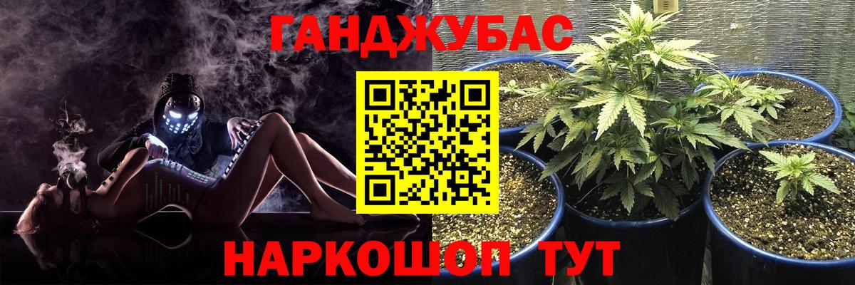 Бошки Шишки семена Лыткарино